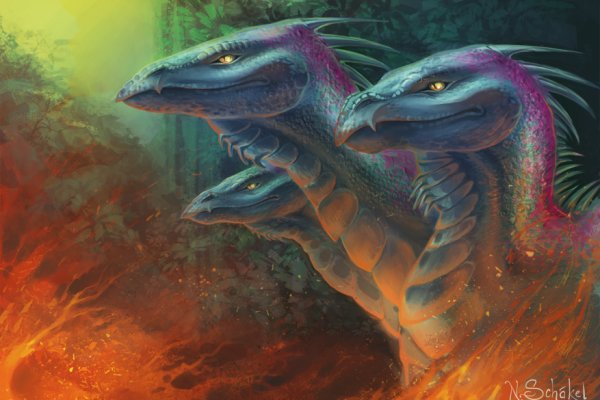 Kraken17 at