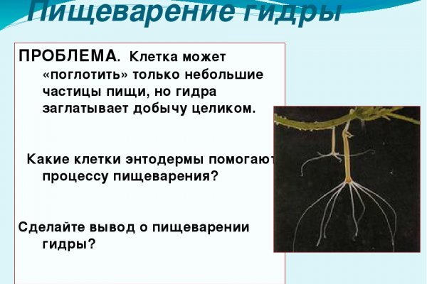 Kra39.cc
