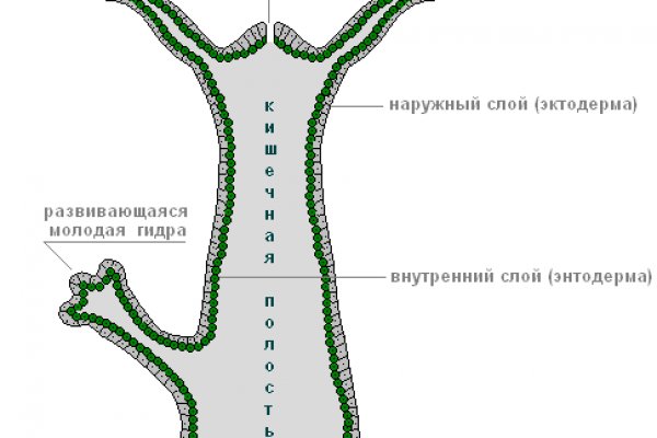 Кракен сайт маркетплейс