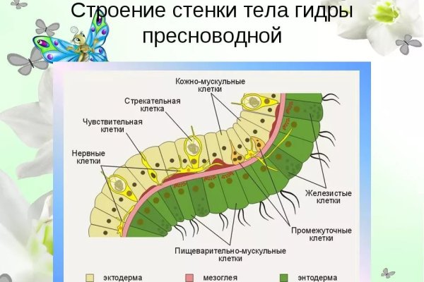 Kraken настоящая ссылка