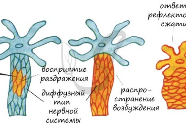 Kraken ссылка тор