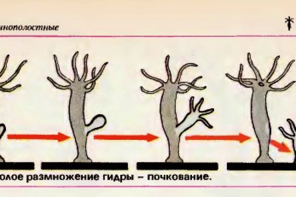 Рабочее зеркало кракен