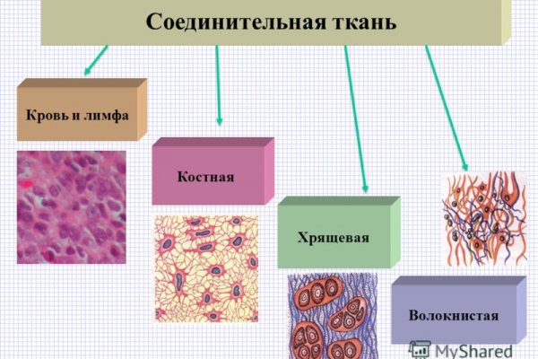 Darknet как войти