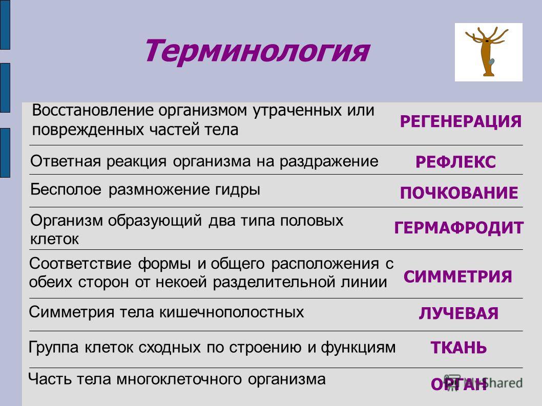 Ссылка на кракен онион
